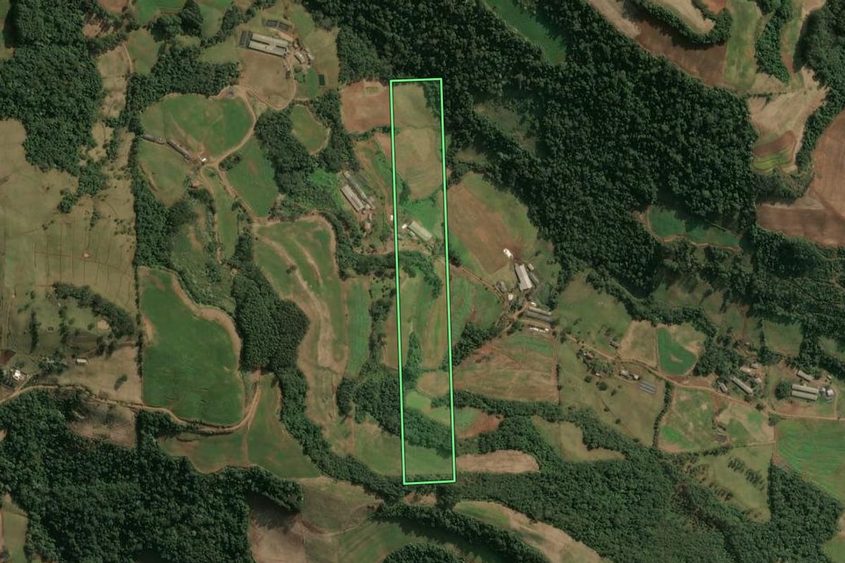 Imagem de satélite do imóvel rural em Seara (SC), com o contorno declarado no CAR desenhado por cima.