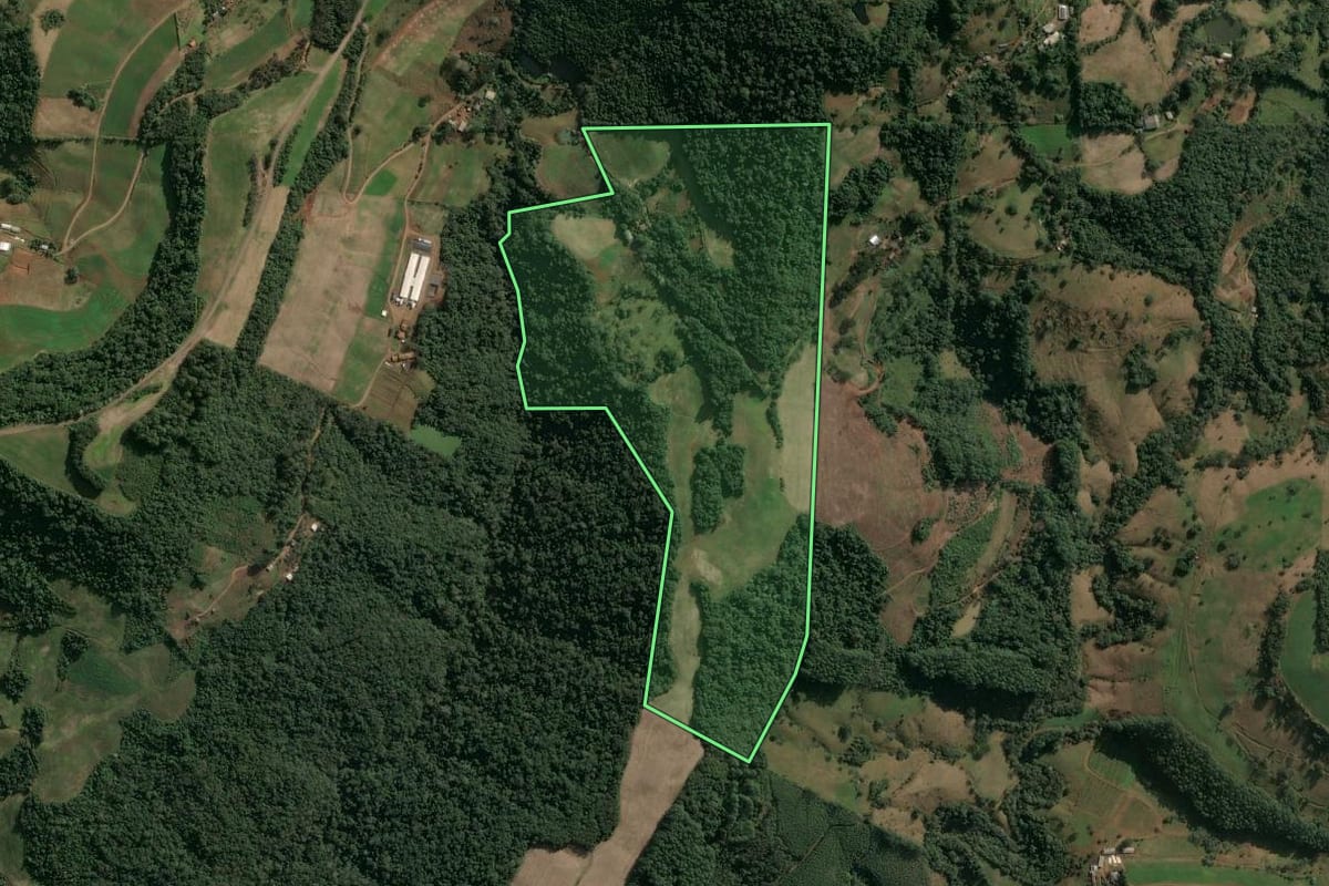 Imagem de satélite do imóvel rural em Seara (SC), com o contorno declarado no CAR desenhado por cima.