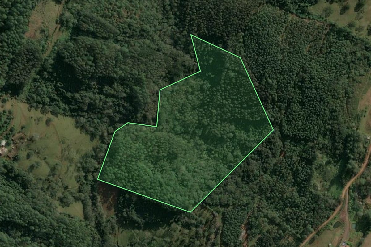 Imagem de satélite do imóvel rural em Seara (SC), com o contorno declarado no CAR desenhado por cima.