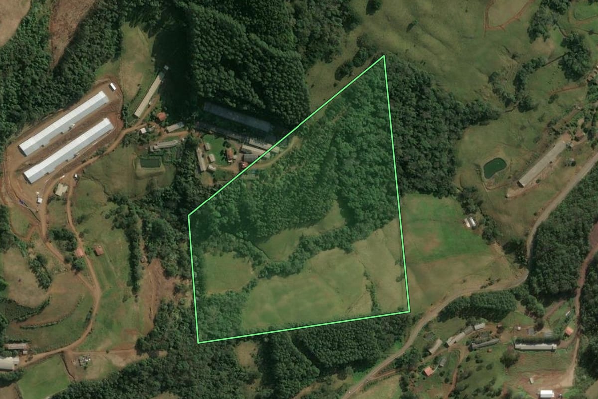 Imagem de satélite do imóvel rural em Seara (SC), com o contorno declarado no CAR desenhado por cima.