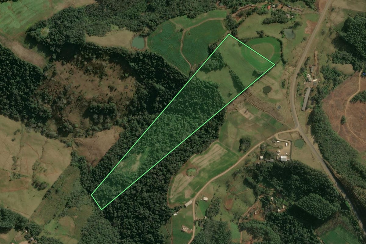 Imagem de satélite do imóvel rural em Seara (SC), com o contorno declarado no CAR desenhado por cima.