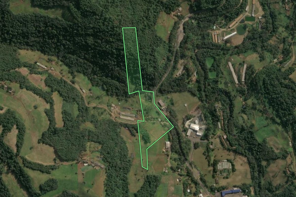 Imagem de satélite do imóvel rural em Seara (SC), com o contorno declarado no CAR desenhado por cima.