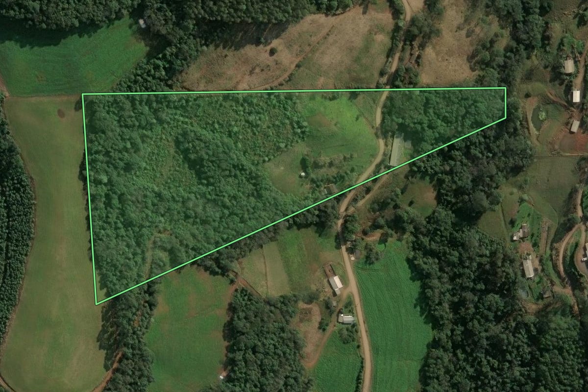 Imagem de satélite do imóvel rural em Seara (SC), com o contorno declarado no CAR desenhado por cima.