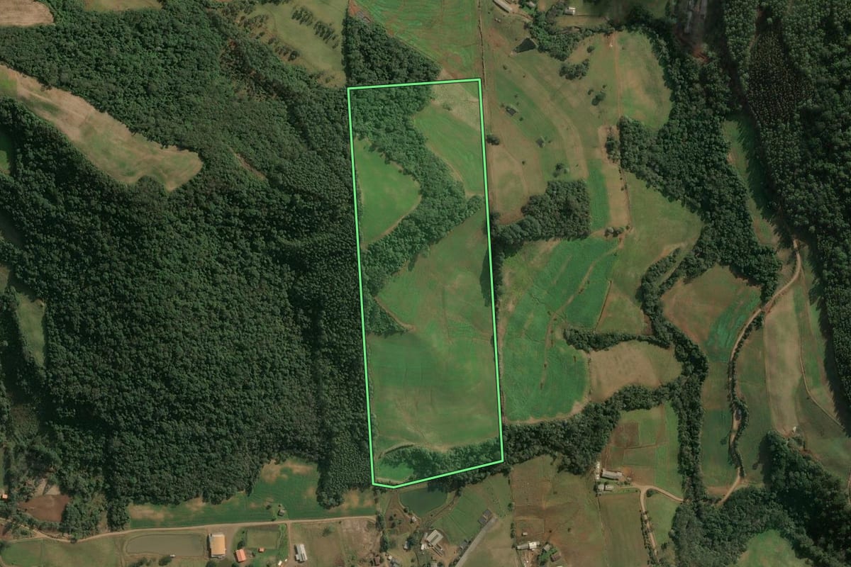 Imagem de satélite do imóvel rural em Seara (SC), com o contorno declarado no CAR desenhado por cima.
