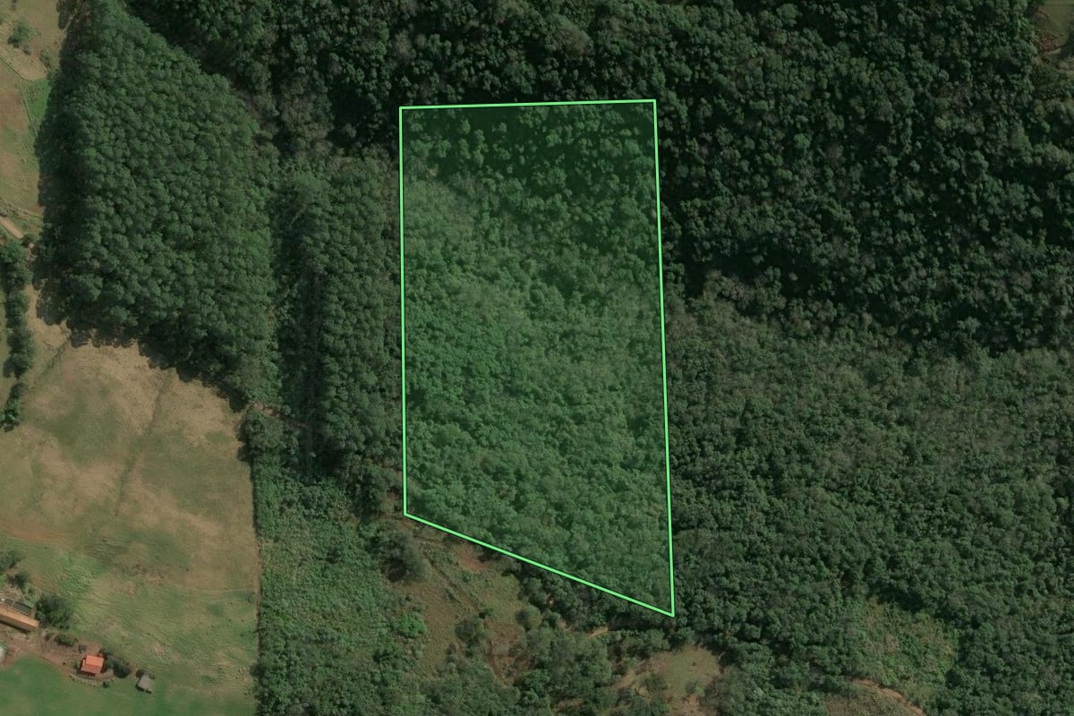 Imagem de satélite do imóvel rural em Seara (SC), com o contorno declarado no CAR desenhado por cima.