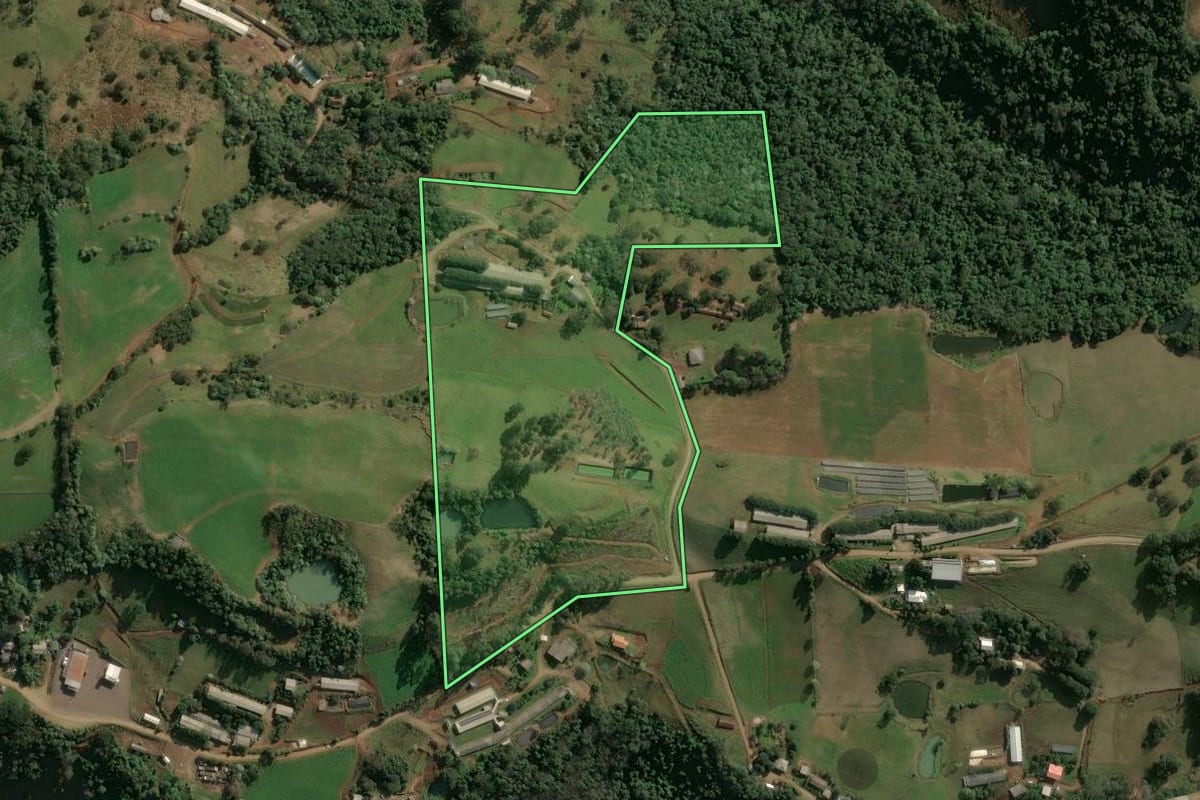 Imagem de satélite do imóvel rural em Seara (SC), com o contorno declarado no CAR desenhado por cima.