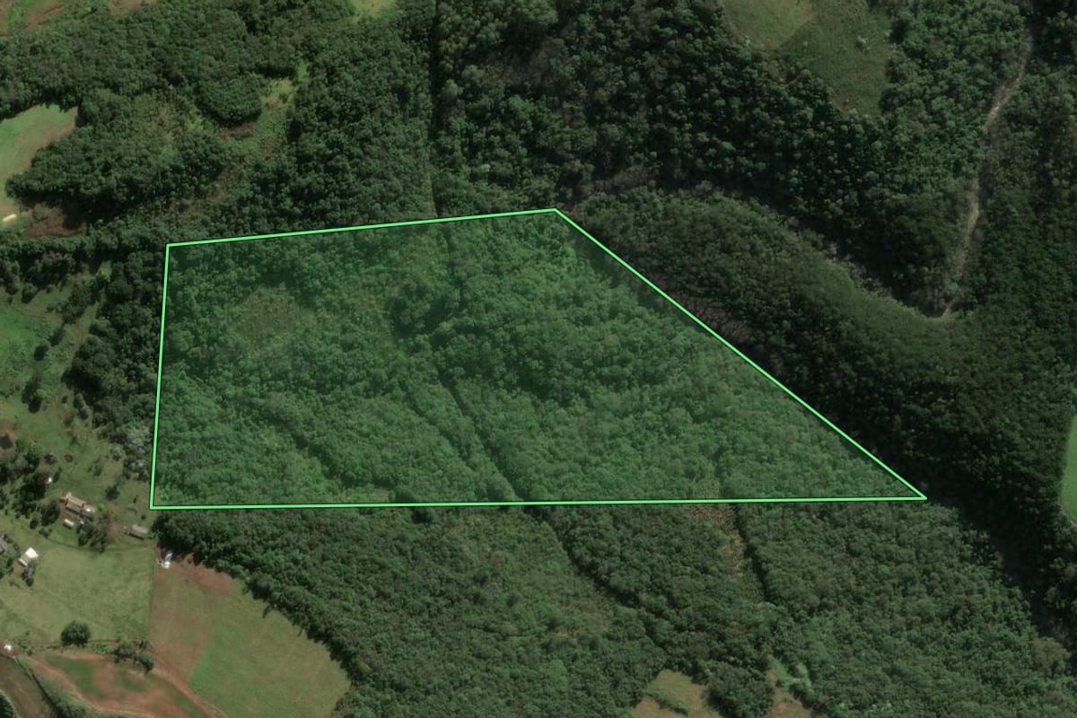 Imagem de satélite do imóvel rural em Seara (SC), com o contorno declarado no CAR desenhado por cima.