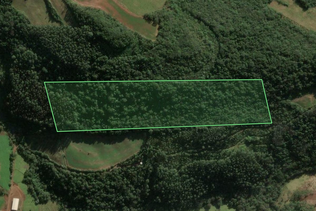 Imagem de satélite do imóvel rural em Seara (SC), com o contorno declarado no CAR desenhado por cima.