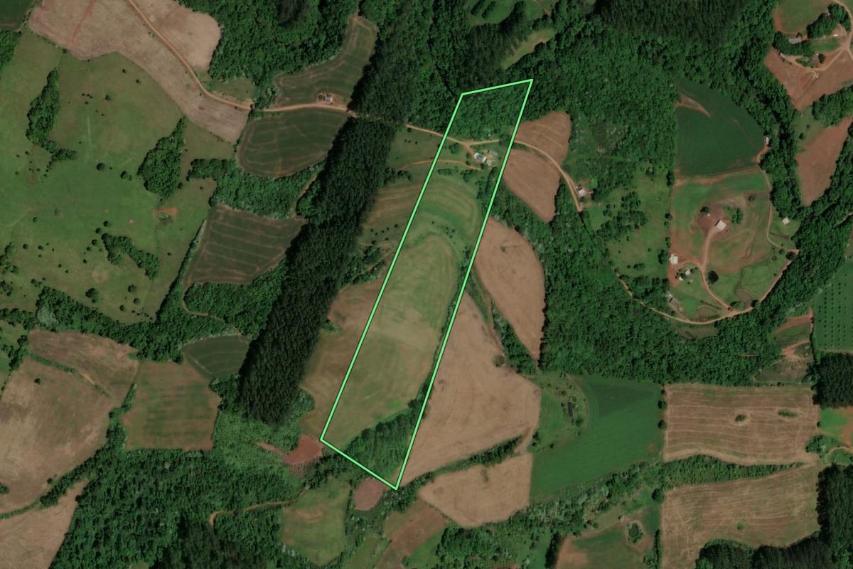 Imagem de satélite do imóvel rural em Serra Alta (SC), com o contorno declarado no CAR desenhado por cima.