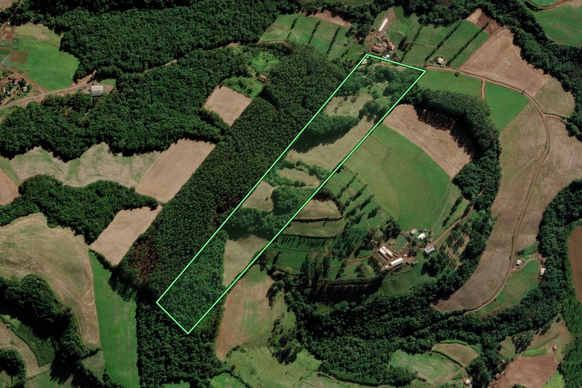 Imagem de satélite do imóvel rural em Serra Alta (SC), com o contorno declarado no CAR desenhado por cima.