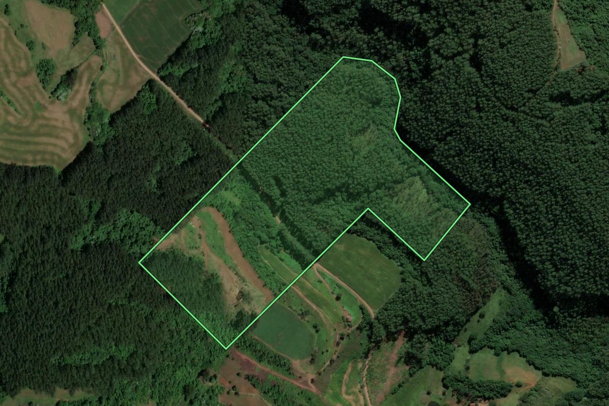 Imagem de satélite do imóvel rural em Serra Alta (SC), com o contorno declarado no CAR desenhado por cima.