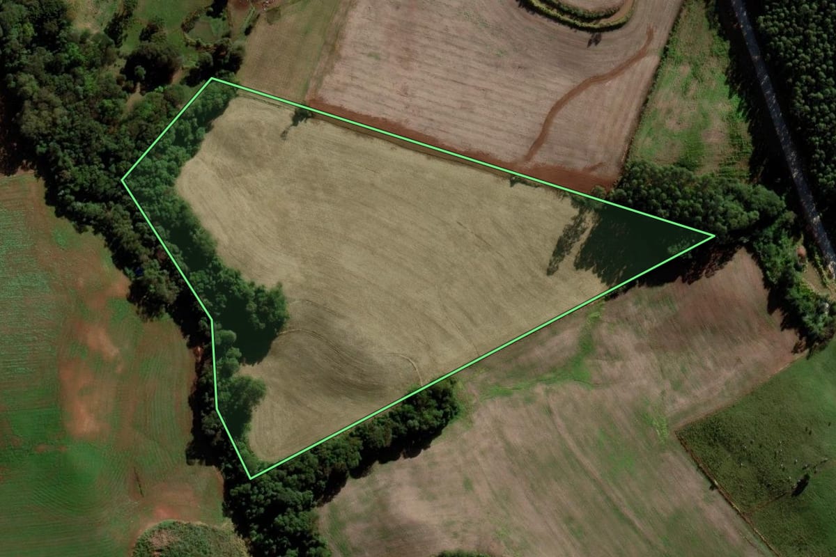 Imagem de satélite do imóvel rural em Serra Alta (SC), com o contorno declarado no CAR desenhado por cima.