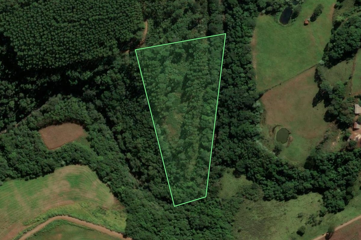 Imagem de satélite do imóvel rural em Serra Alta (SC), com o contorno declarado no CAR desenhado por cima.