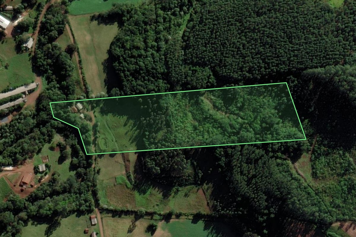 Imagem de satélite do imóvel rural em Serra Alta (SC), com o contorno declarado no CAR desenhado por cima.