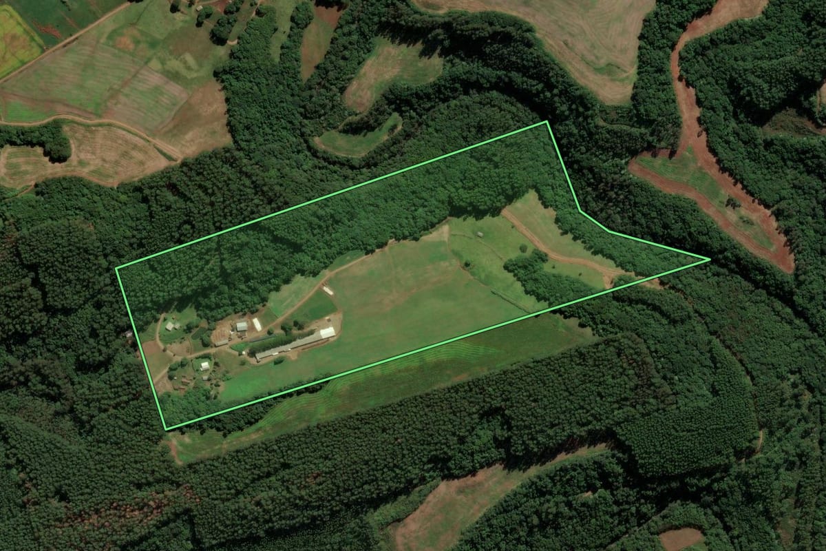 Imagem de satélite do imóvel rural em Serra Alta (SC), com o contorno declarado no CAR desenhado por cima.