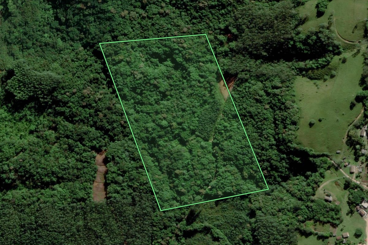 Imagem de satélite do imóvel rural em Siderópolis (SC), com o contorno declarado no CAR desenhado por cima.