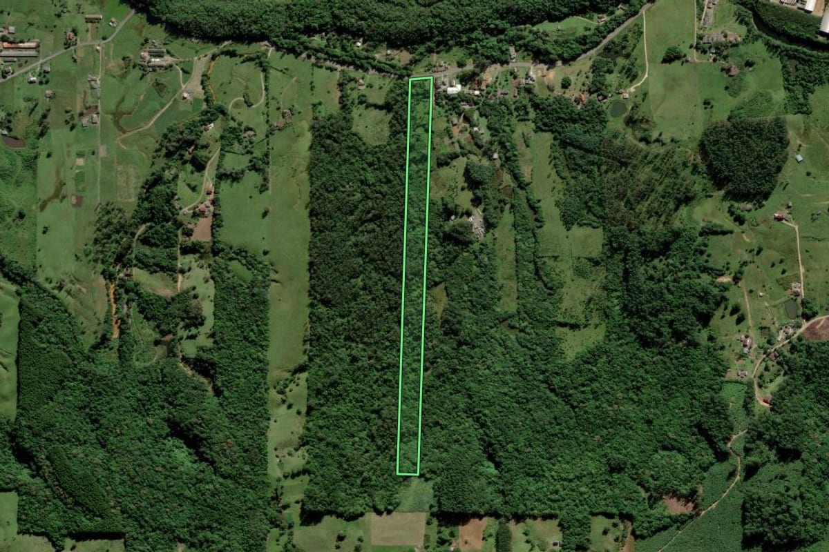 Imagem de satélite do imóvel rural em Siderópolis (SC), com o contorno declarado no CAR desenhado por cima.