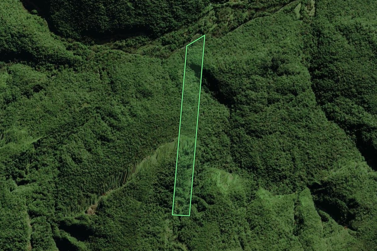 Imagem de satélite do imóvel rural em Siderópolis (SC), com o contorno declarado no CAR desenhado por cima.