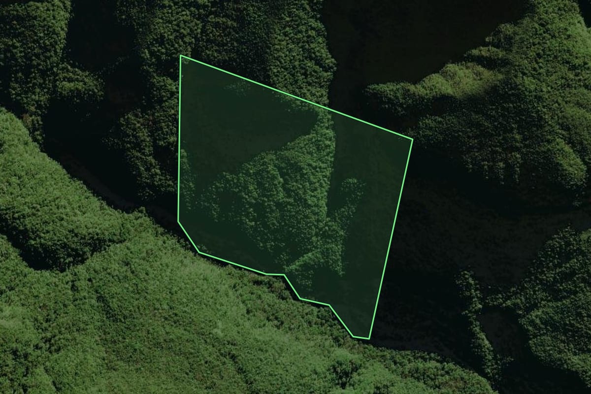 Imagem de satélite do imóvel rural em Siderópolis (SC), com o contorno declarado no CAR desenhado por cima.