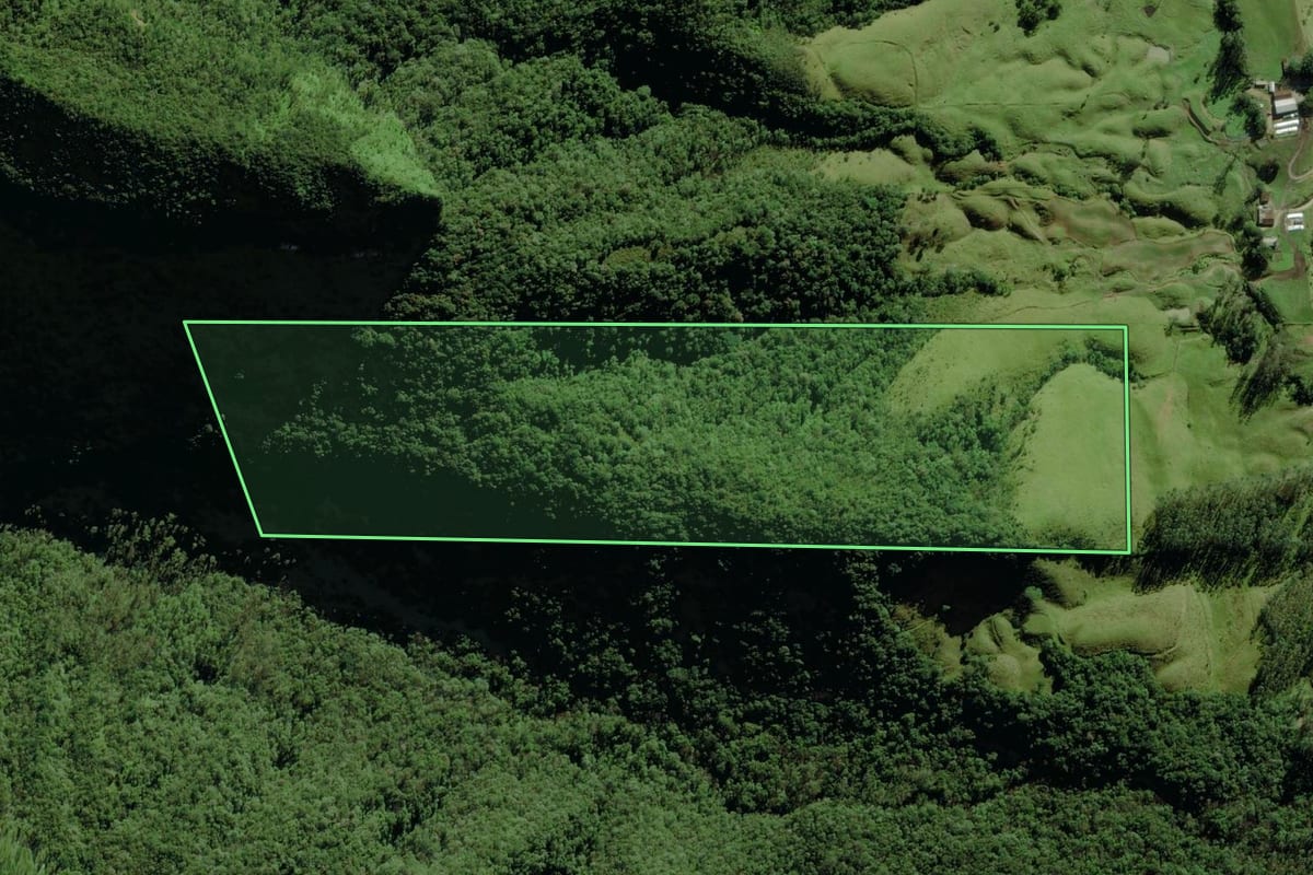 Imagem de satélite do imóvel rural em Siderópolis (SC), com o contorno declarado no CAR desenhado por cima.