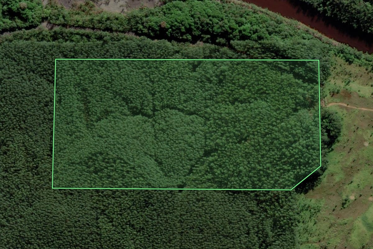 Imagem de satélite do imóvel rural em Siderópolis (SC), com o contorno declarado no CAR desenhado por cima.
