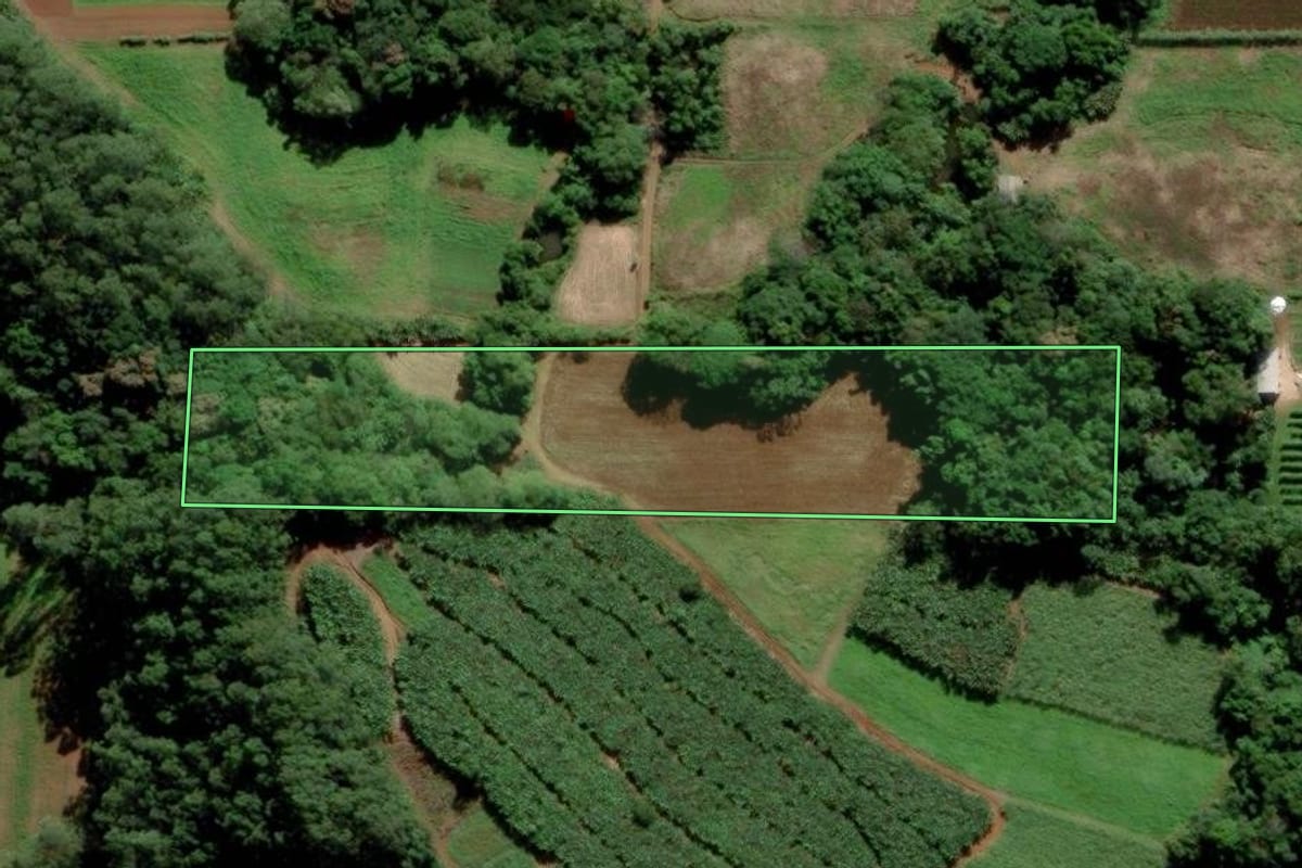 Imagem de satélite do imóvel rural em Siderópolis (SC), com o contorno declarado no CAR desenhado por cima.