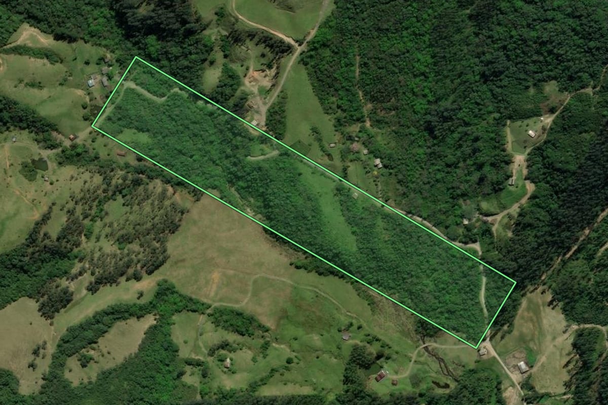 Imagem de satélite do imóvel rural em Siderópolis (SC), com o contorno declarado no CAR desenhado por cima.