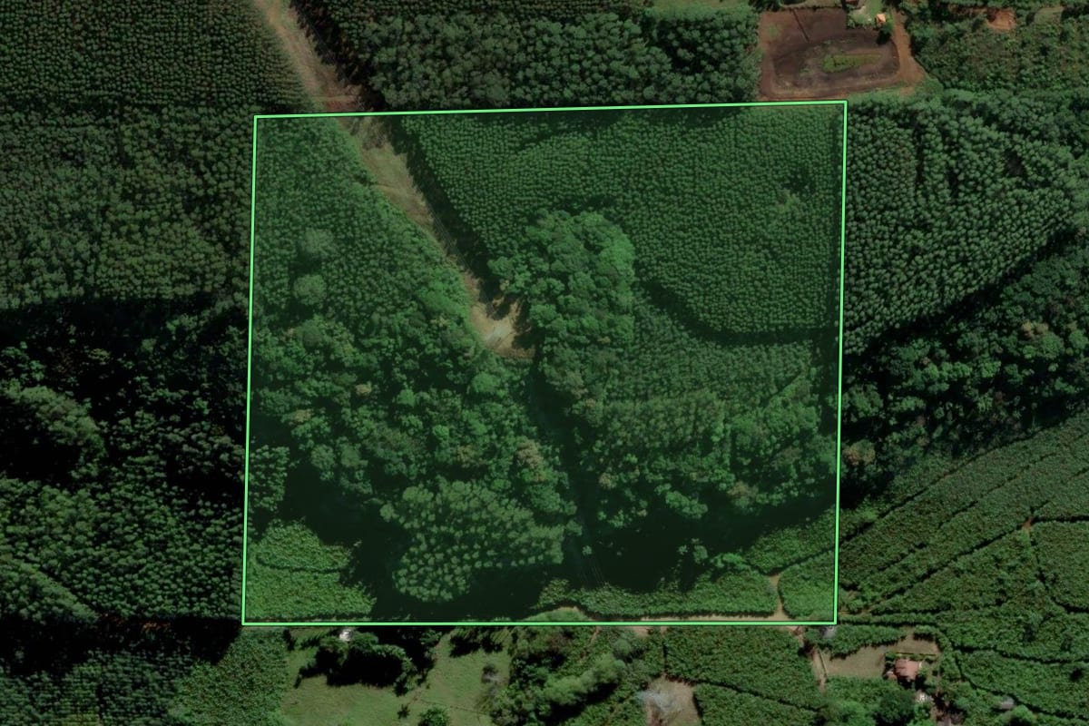 Imagem de satélite do imóvel rural em Siderópolis (SC), com o contorno declarado no CAR desenhado por cima.