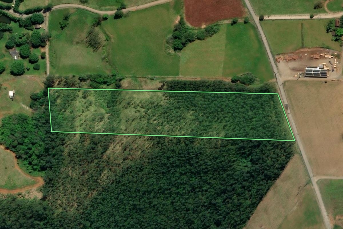Imagem de satélite do imóvel rural em Siderópolis (SC), com o contorno declarado no CAR desenhado por cima.