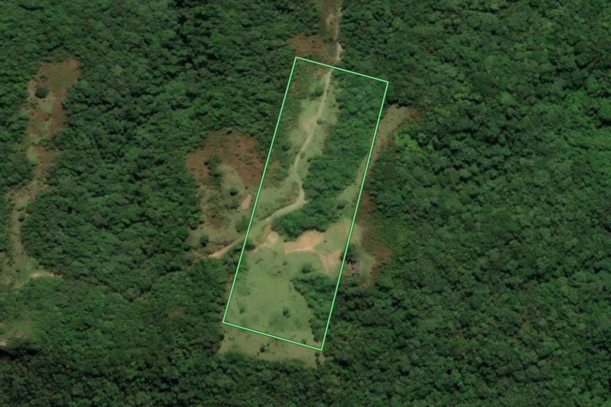 Imagem de satélite do imóvel rural em Siderópolis (SC), com o contorno declarado no CAR desenhado por cima.