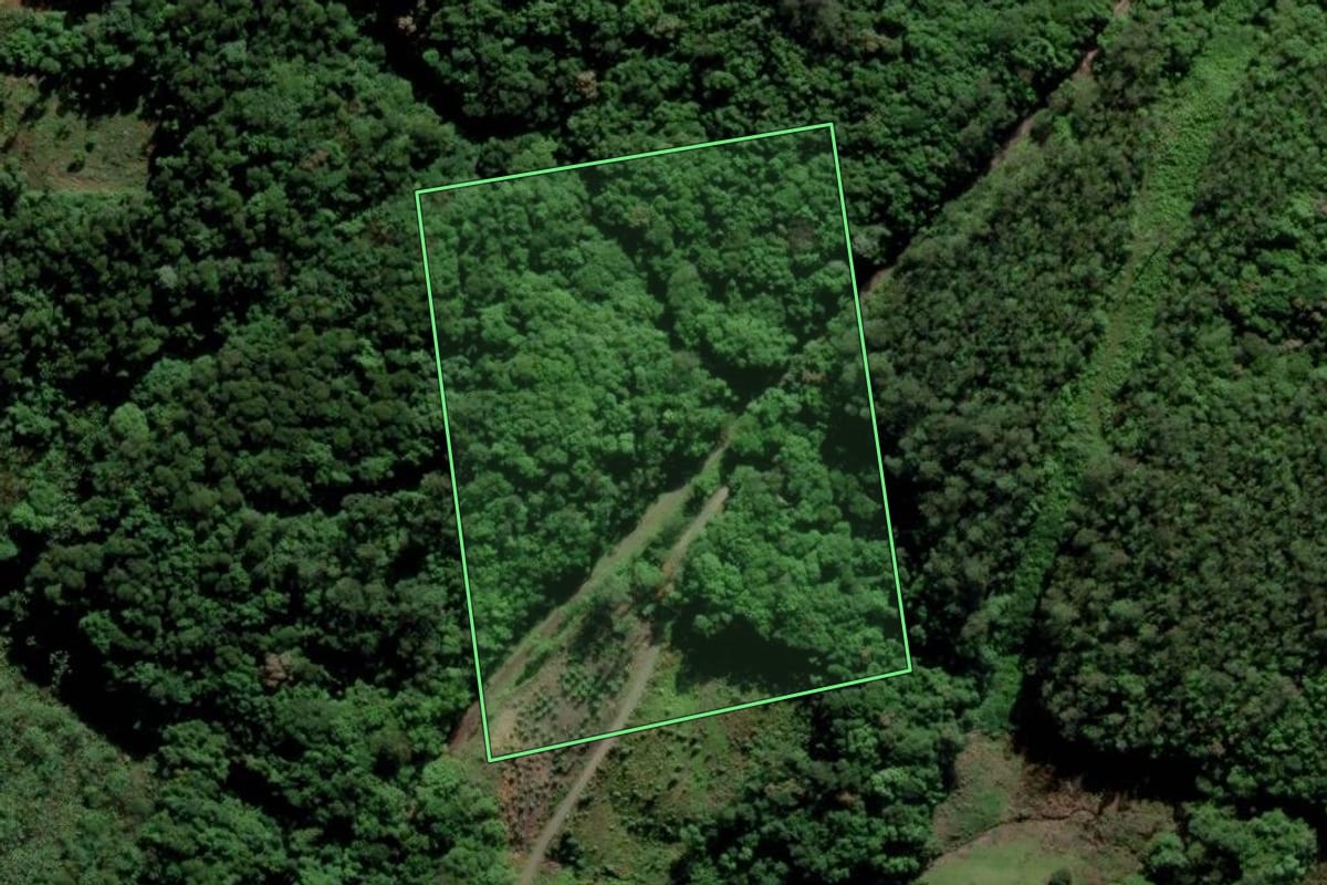 Imagem de satélite do imóvel rural em Siderópolis (SC), com o contorno declarado no CAR desenhado por cima.