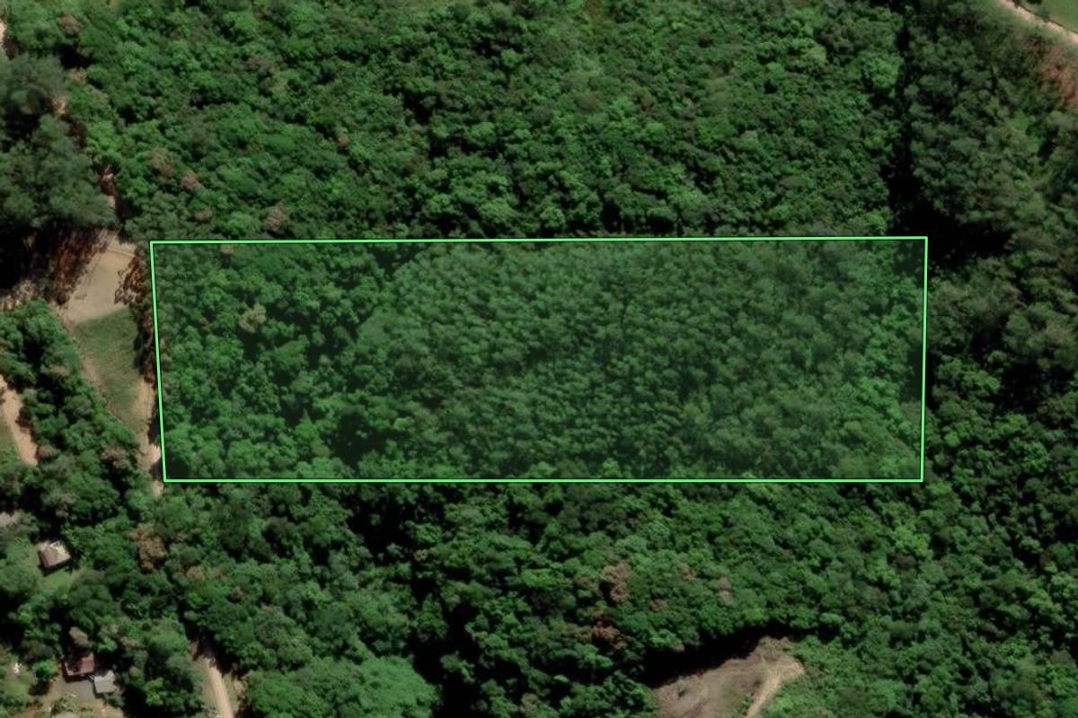 Imagem de satélite do imóvel rural em Siderópolis (SC), com o contorno declarado no CAR desenhado por cima.