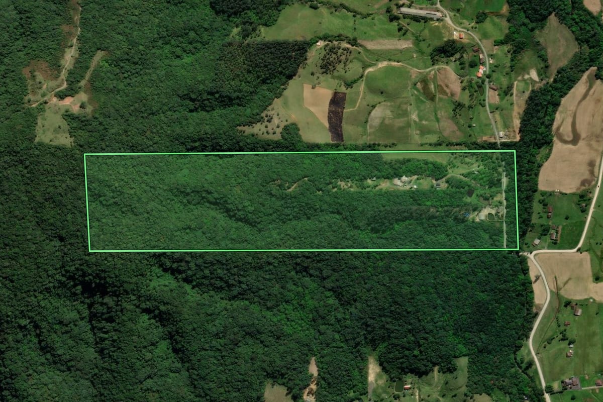 Imagem de satélite do imóvel rural em Siderópolis (SC), com o contorno declarado no CAR desenhado por cima.