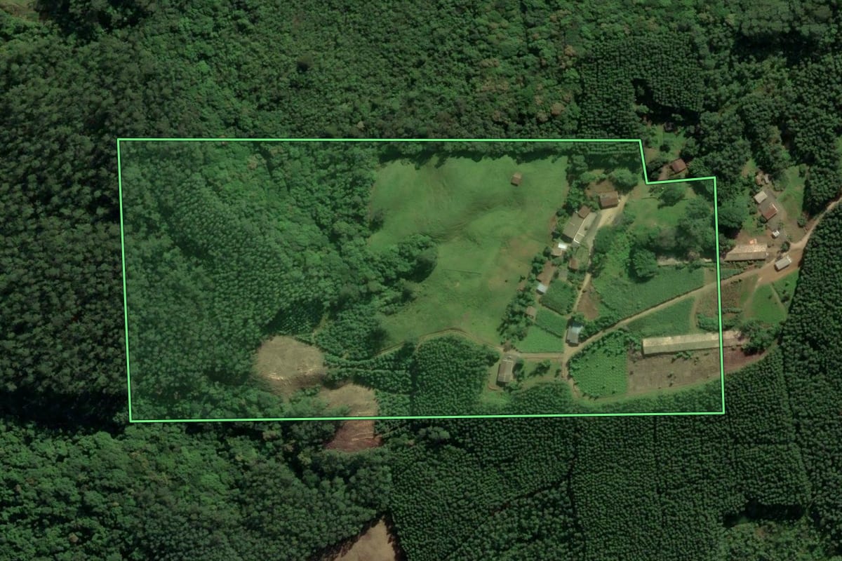 Imagem de satélite do imóvel rural em Siderópolis (SC), com o contorno declarado no CAR desenhado por cima.