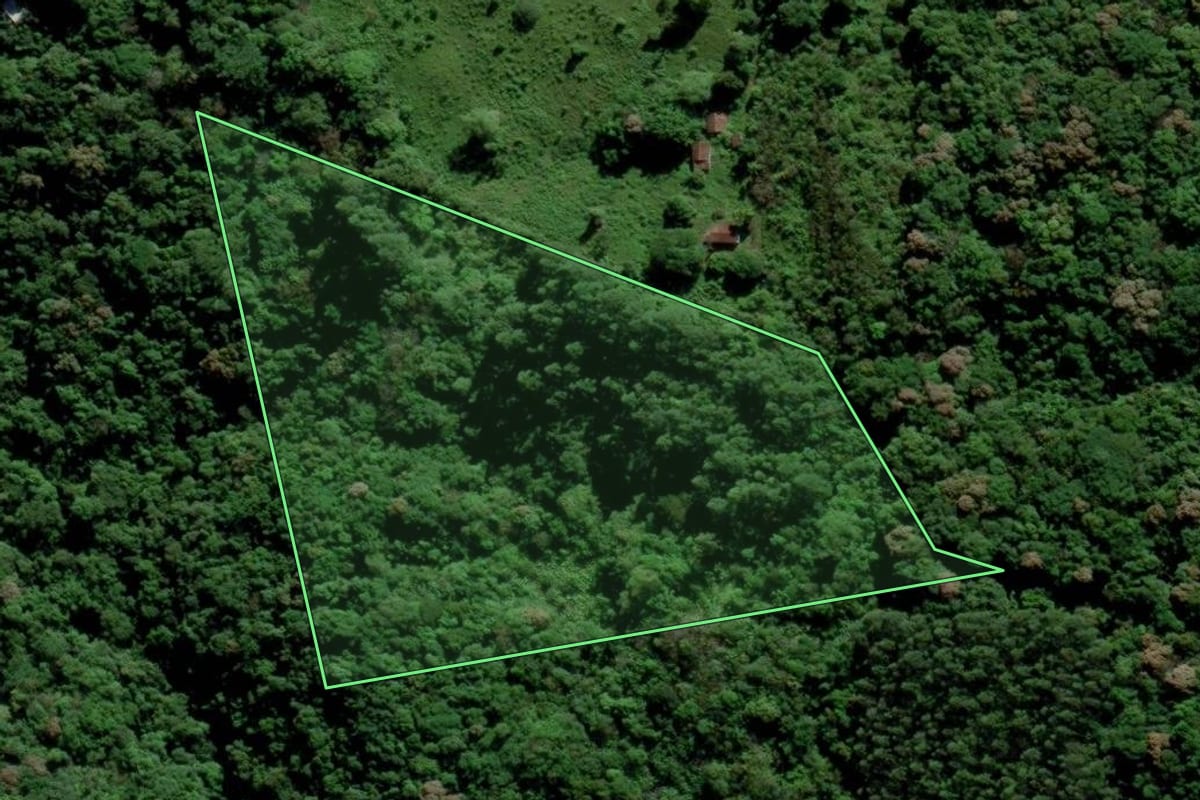 Imagem de satélite do imóvel rural em Siderópolis (SC), com o contorno declarado no CAR desenhado por cima.