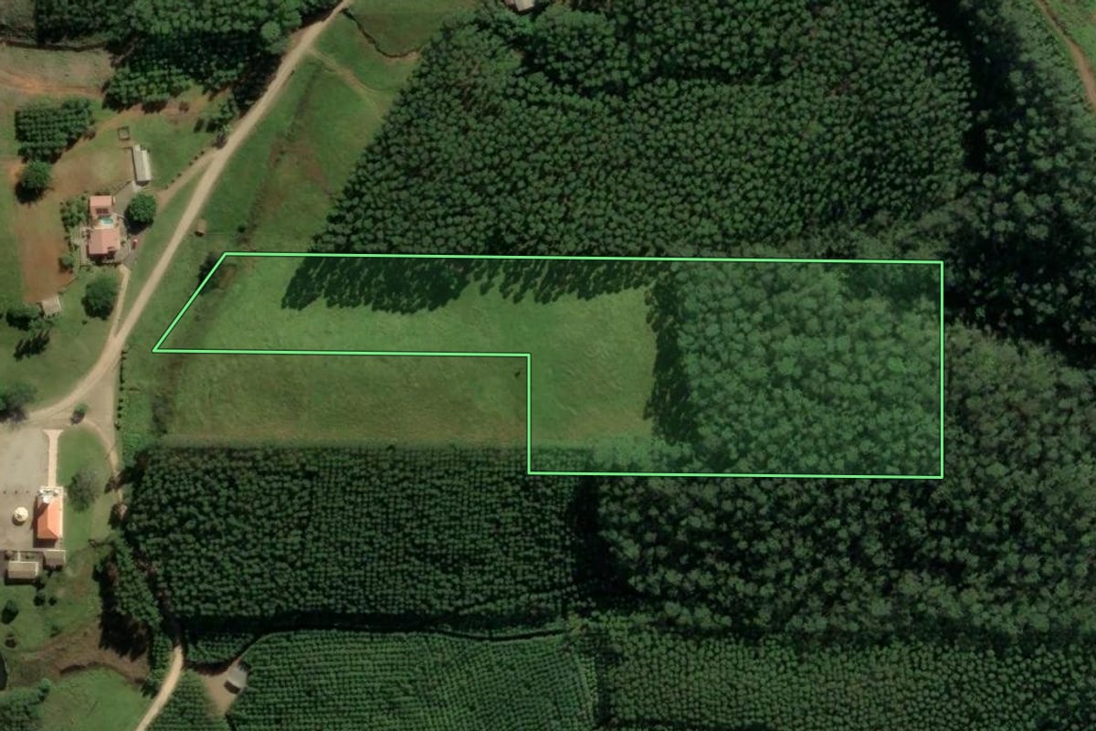 Imagem de satélite do imóvel rural em Siderópolis (SC), com o contorno declarado no CAR desenhado por cima.
