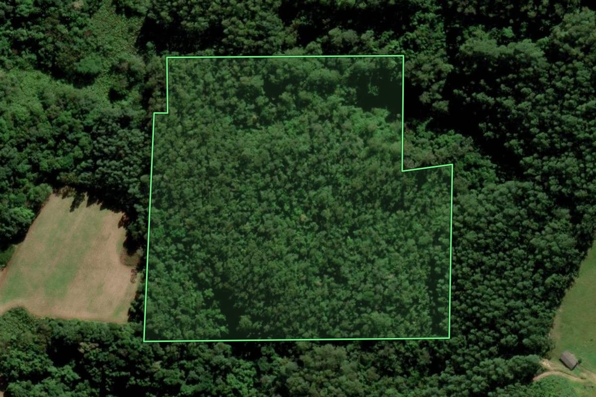 Imagem de satélite do imóvel rural em Siderópolis (SC), com o contorno declarado no CAR desenhado por cima.