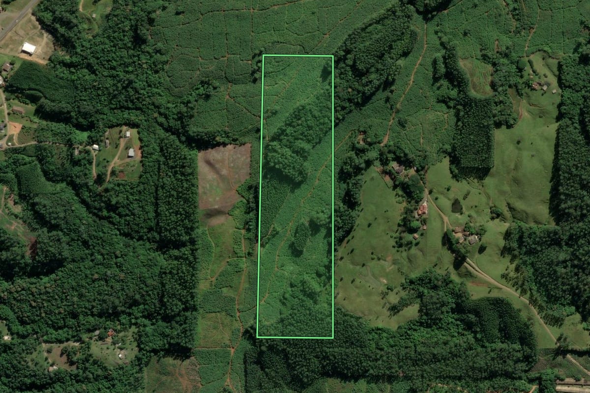 Imagem de satélite do imóvel rural em Siderópolis (SC), com o contorno declarado no CAR desenhado por cima.