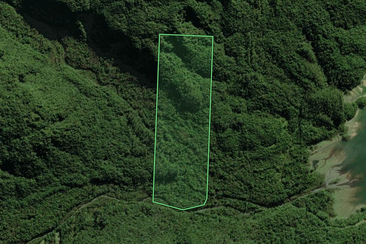Imagem de satélite do imóvel rural em Siderópolis (SC), com o contorno declarado no CAR desenhado por cima.