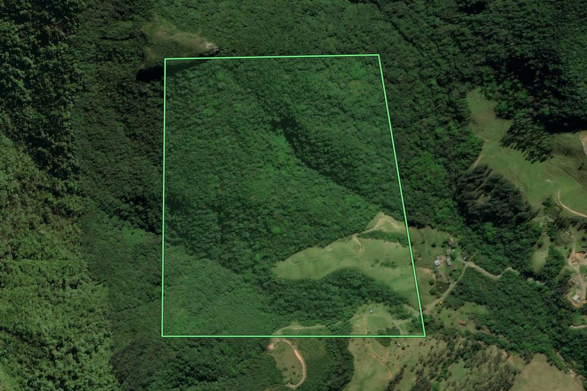 Imagem de satélite do imóvel rural em Siderópolis (SC), com o contorno declarado no CAR desenhado por cima.