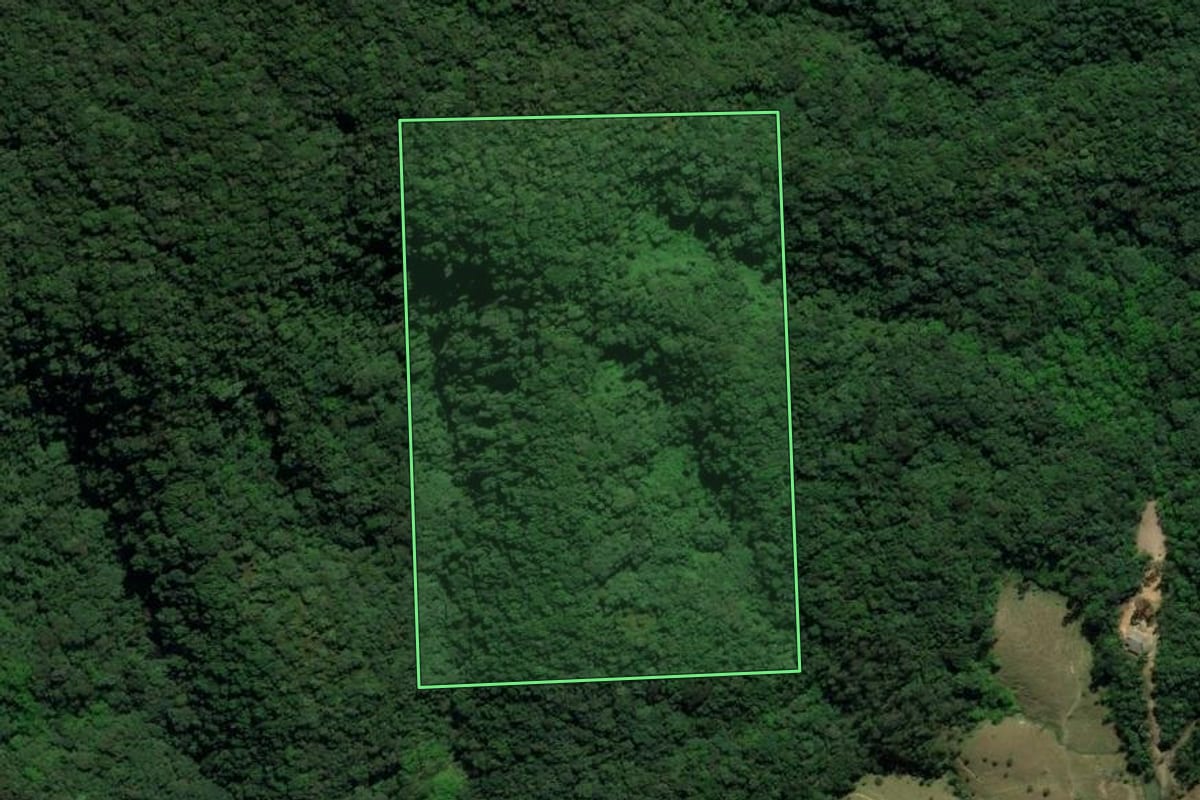 Imagem de satélite do imóvel rural em Siderópolis (SC), com o contorno declarado no CAR desenhado por cima.