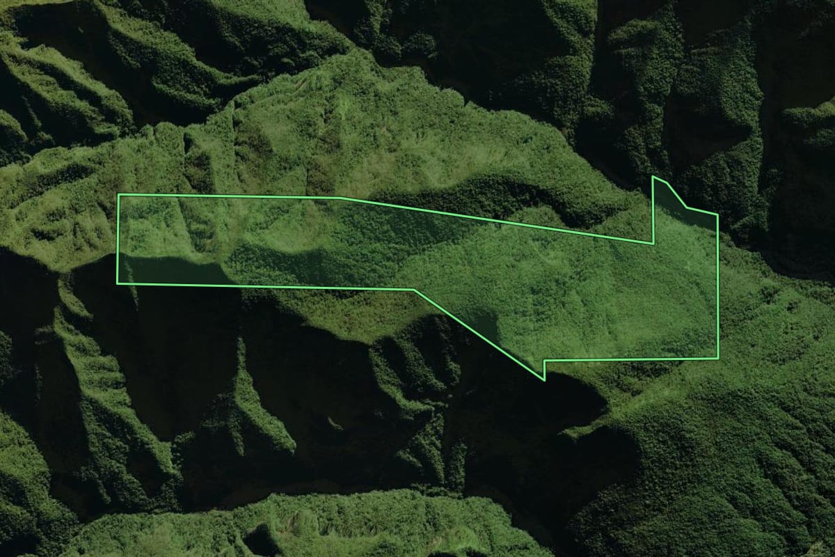 Imagem de satélite do imóvel rural em Siderópolis (SC), com o contorno declarado no CAR desenhado por cima.