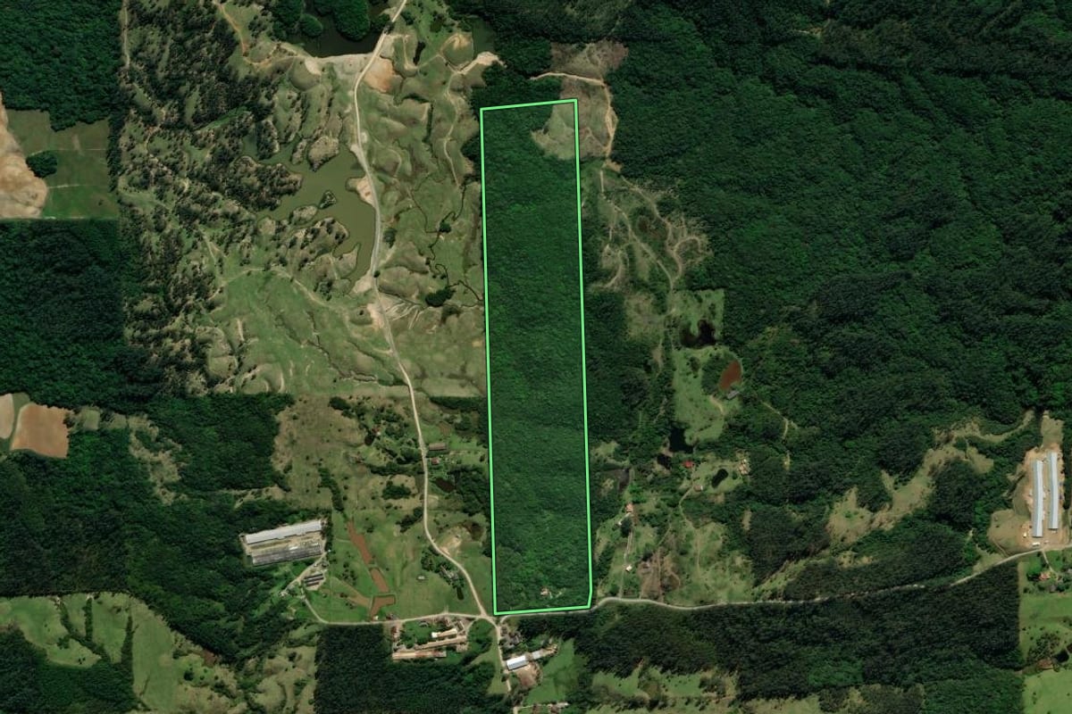 Imagem de satélite do imóvel rural em Siderópolis (SC), com o contorno declarado no CAR desenhado por cima.