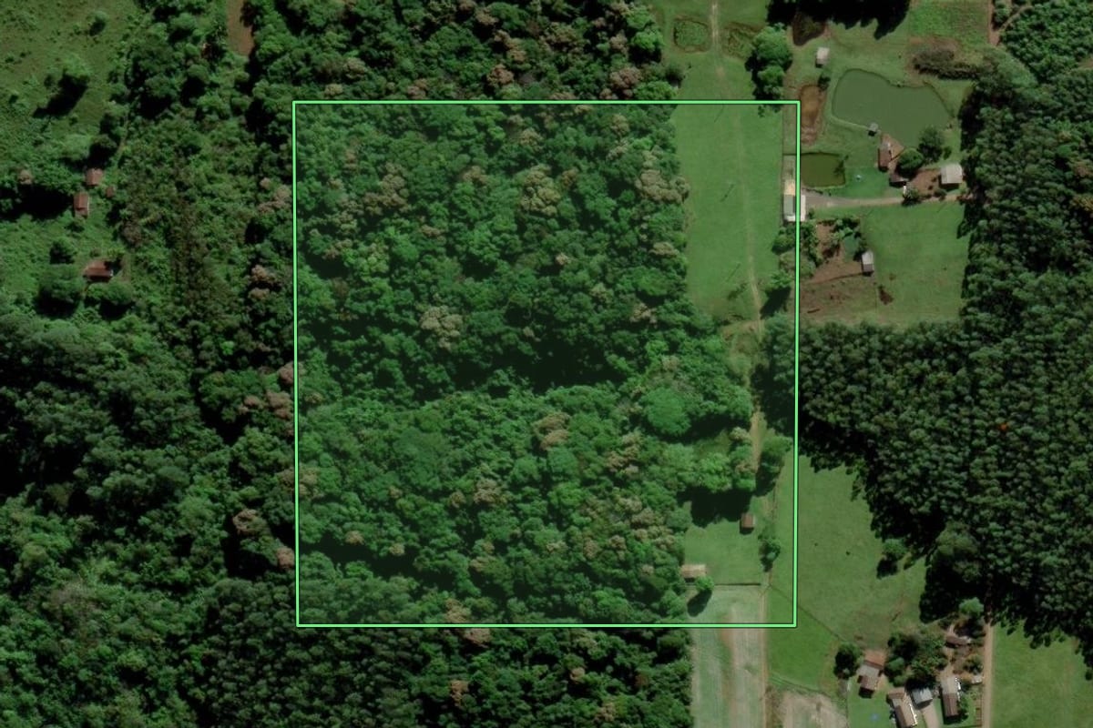 Imagem de satélite do imóvel rural em Siderópolis (SC), com o contorno declarado no CAR desenhado por cima.