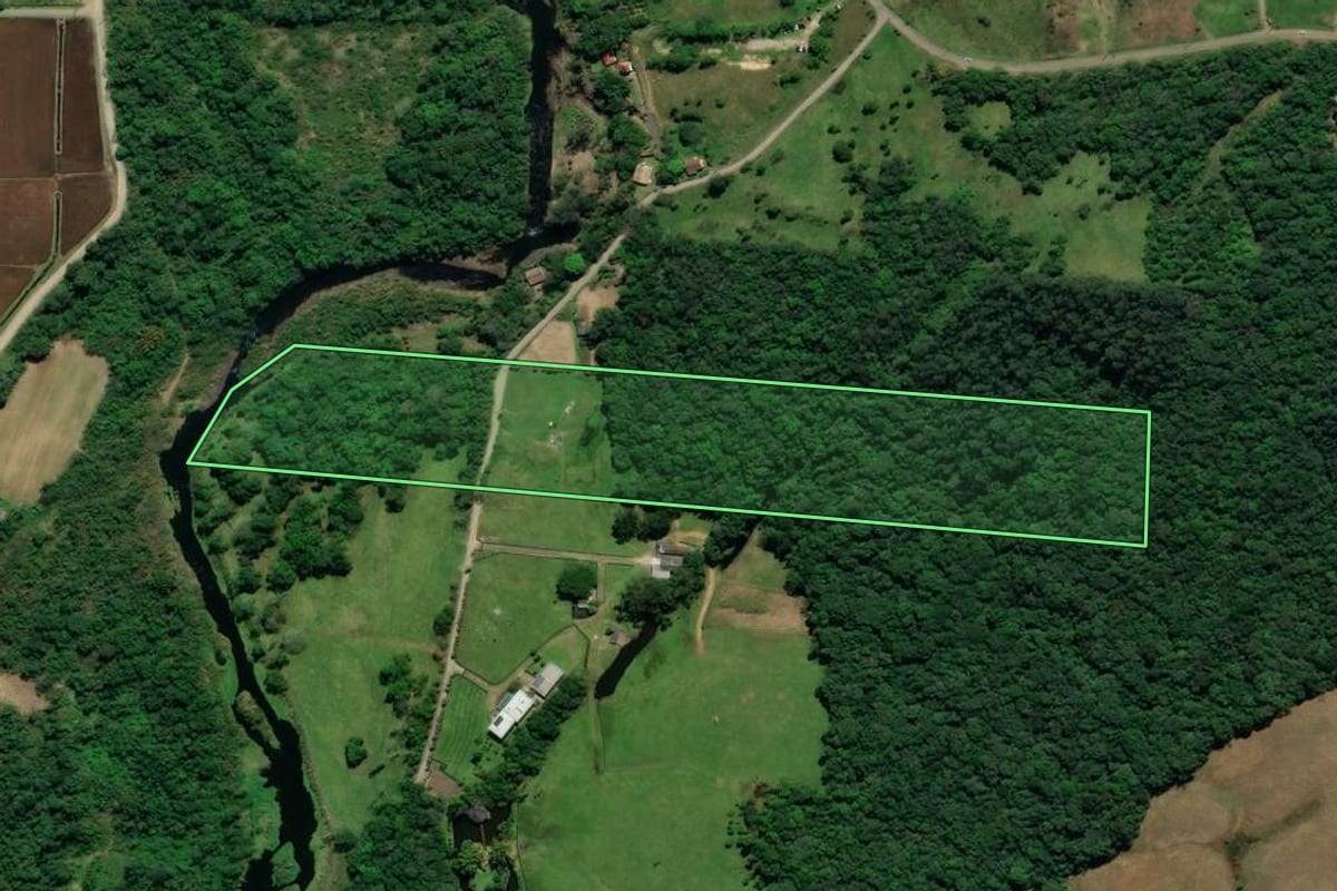 Imagem de satélite do imóvel rural em Siderópolis (SC), com o contorno declarado no CAR desenhado por cima.