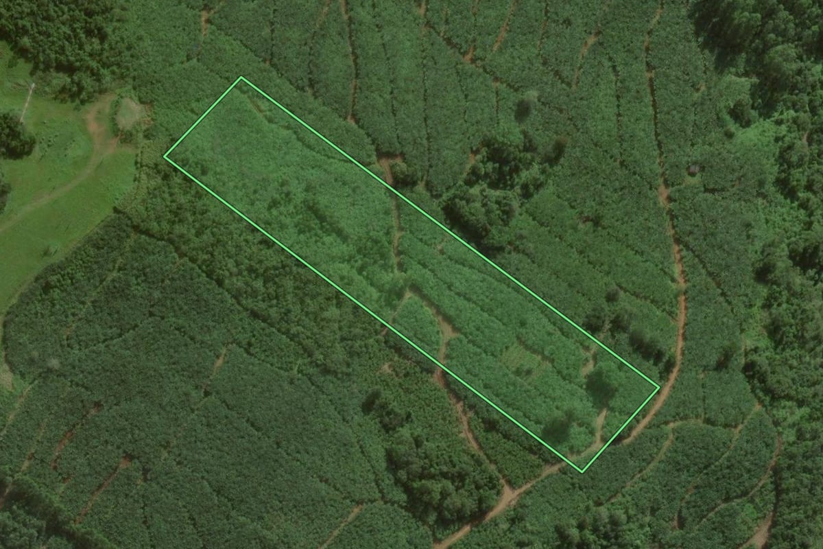 Imagem de satélite do imóvel rural em Sombrio (SC), com o contorno declarado no CAR desenhado por cima.