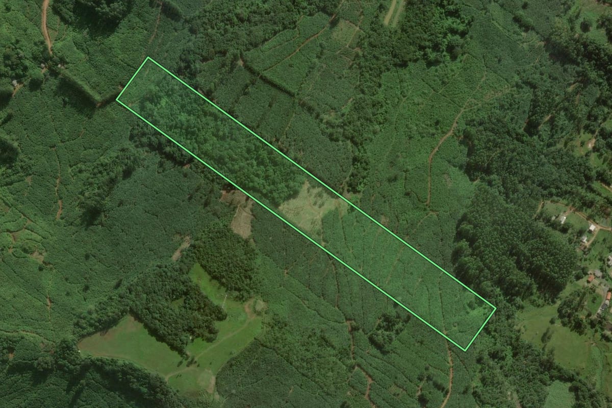 Imagem de satélite do imóvel rural em Sombrio (SC), com o contorno declarado no CAR desenhado por cima.