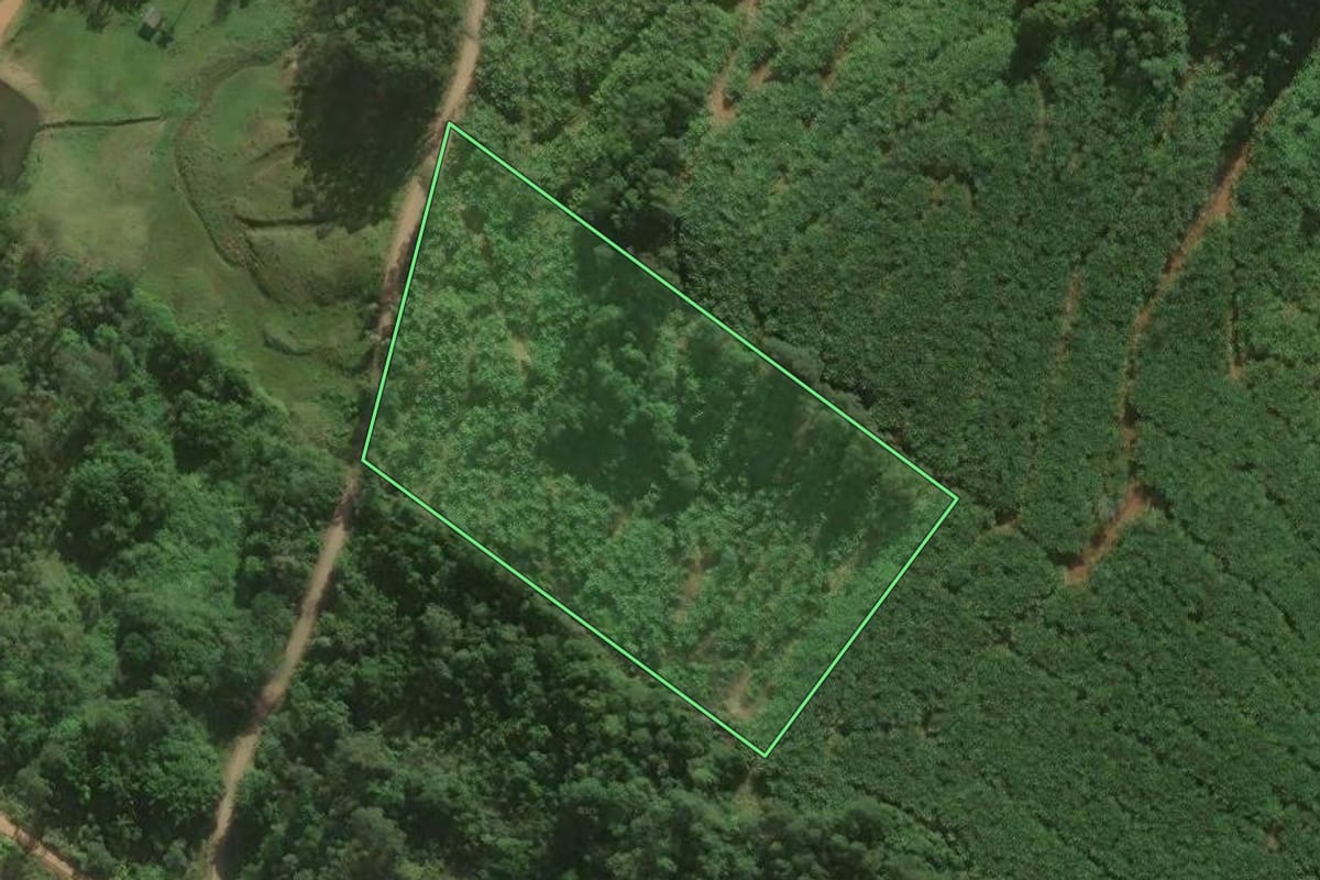 Imagem de satélite do imóvel rural em Sombrio (SC), com o contorno declarado no CAR desenhado por cima.