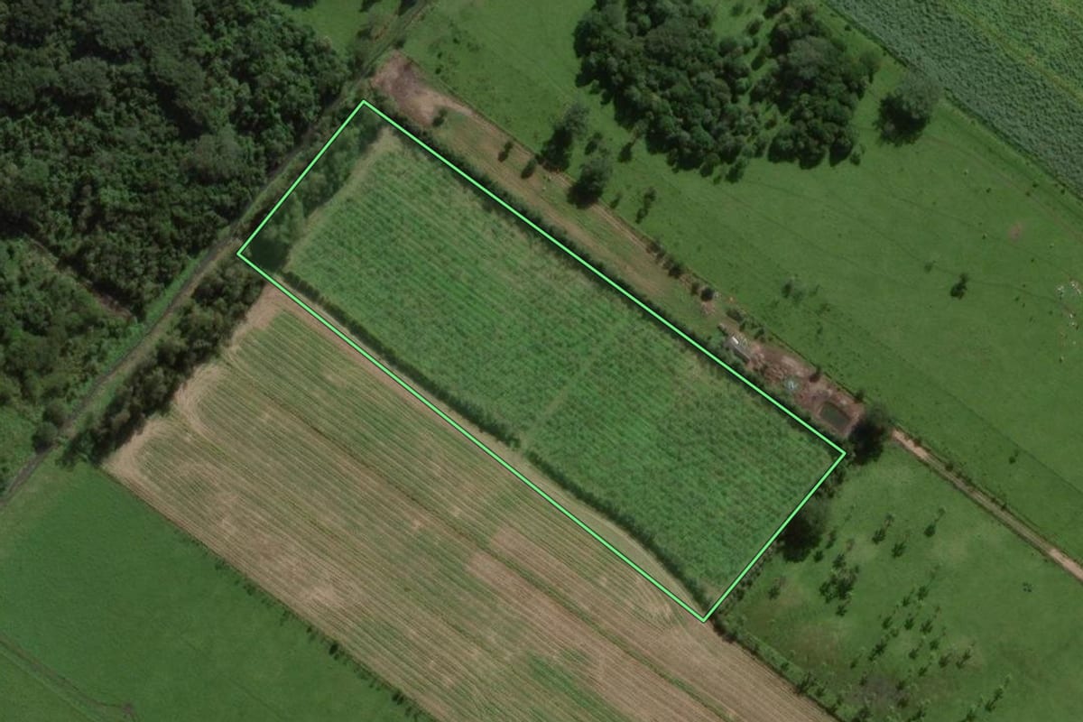 Imagem de satélite do imóvel rural em Sombrio (SC), com o contorno declarado no CAR desenhado por cima.