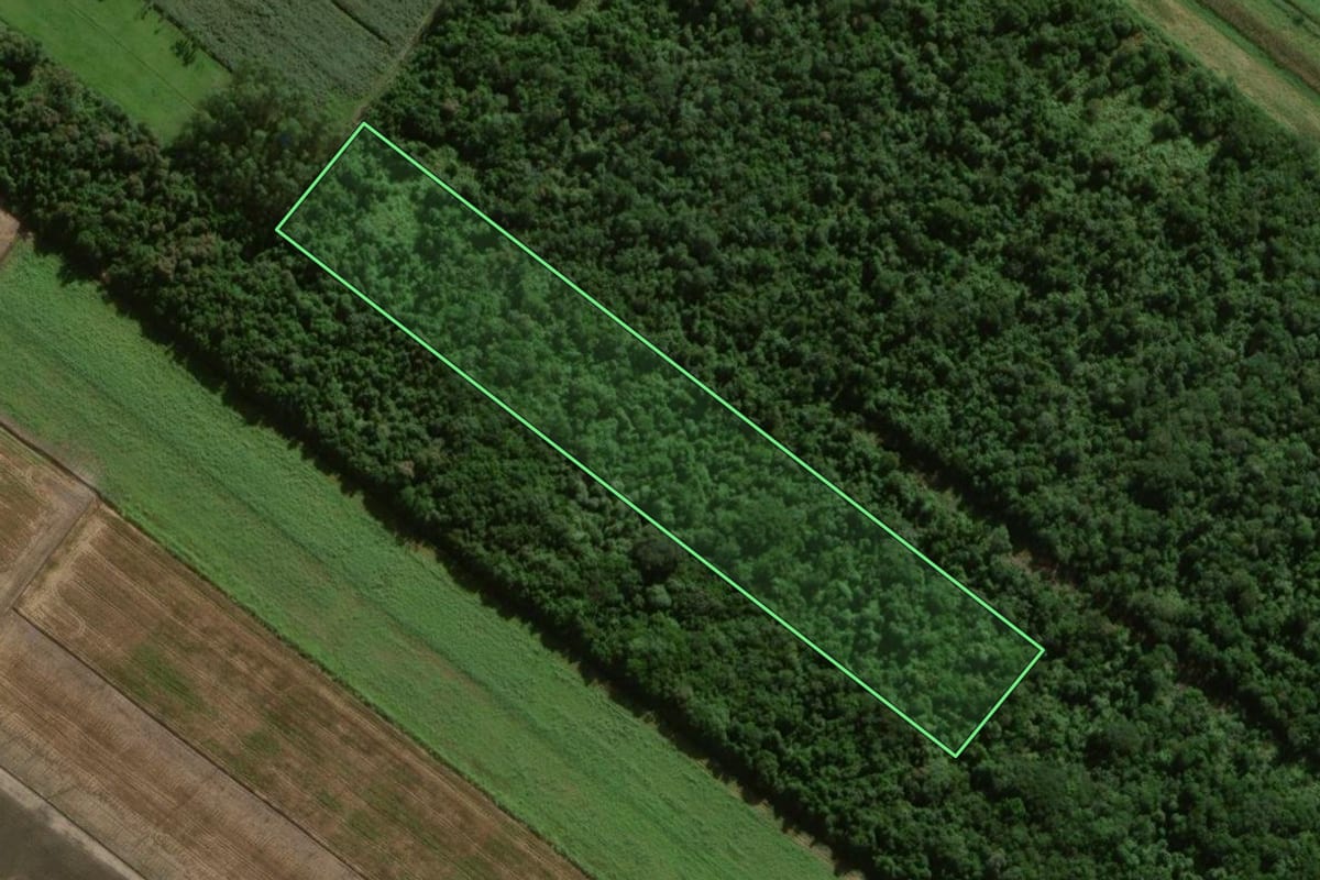 Imagem de satélite do imóvel rural em Sombrio (SC), com o contorno declarado no CAR desenhado por cima.